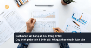 Cach-nhan-xet-bang-so-lieu-trong-SPSS
