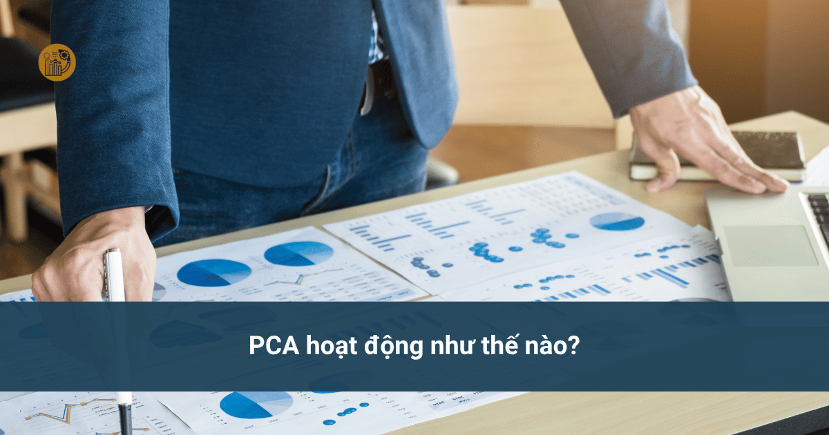 PCA là gì? Kiến thức cần có về Principal Component Analysis