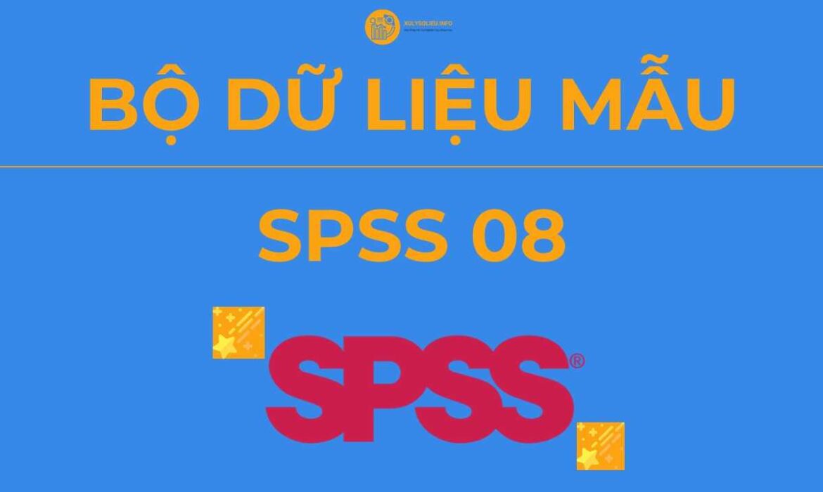 Bộ Dữ Liệu Mẫu (Data Mẫu) Xử Lý và Chạy SPSS – SPSS 08