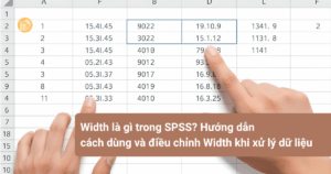 Width-la-gi-trong-SPSS