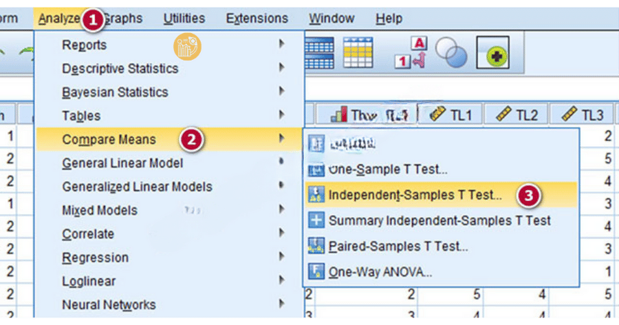 Analyze-Compare-Means-Independent-Samples-T-Test