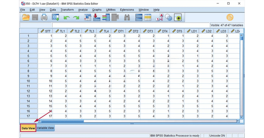 Data-View-SPSS
