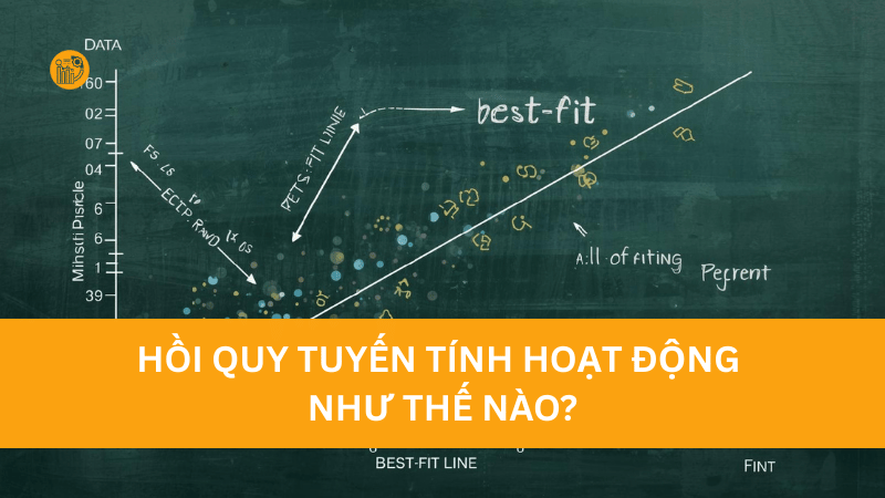 hồi quy tuyến tính là gì