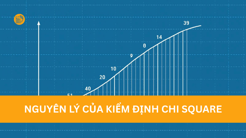 kiểm định mối liên hệ giữa hai biến định tính