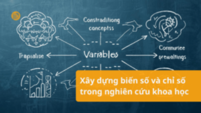 Thu Thập Dữ Liệu Thứ Cấp FINDATA | Xử Lý Số Liệu Xay-dung-bien-so-va-chi-so-trong-nghien-cuu-khoa-hoc