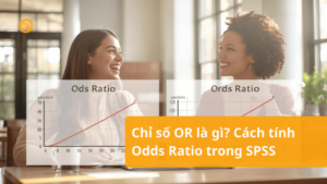 Chi-so-OR-la-gi Chi-so-OR-la-gi