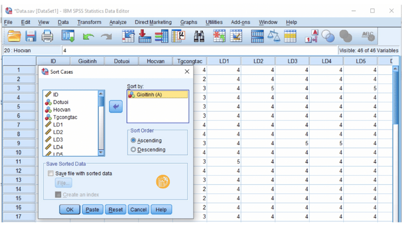 Chọn biến nghi ngờ có lỗi và đưa vào ô Sort by