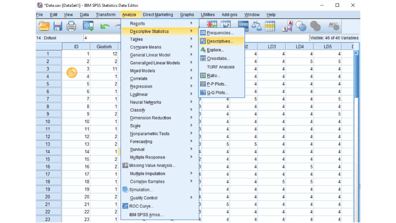 Kiểm tra lỗi bằng Descriptives 01