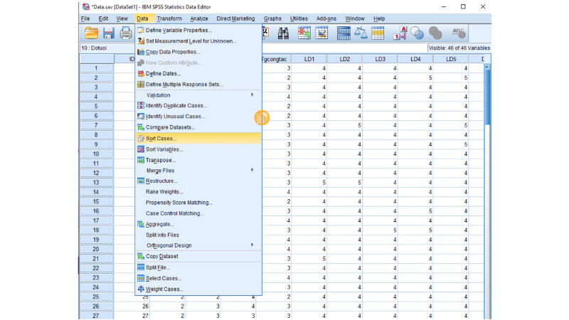 Vao-Data-chon-Sort-Cases