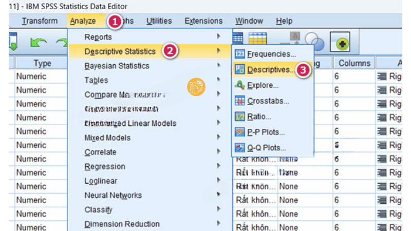 chon-Descriptive-Statistics-sau-do-chon-Descriptives