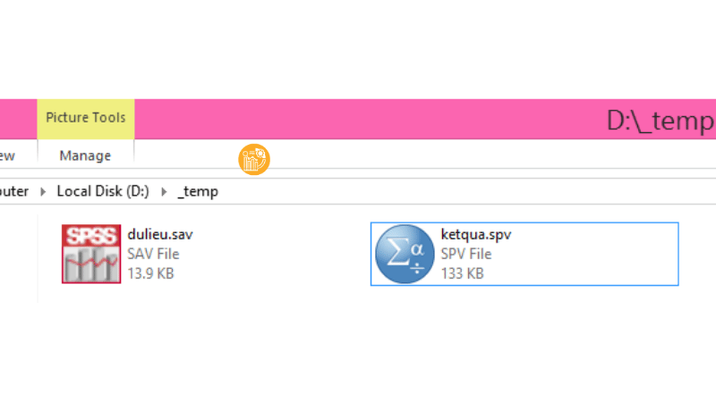Cac-dang-file-thuong-gap-trong-SPSS