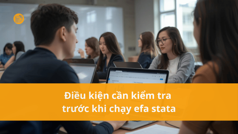 Dieu-kien-can-kiem-tra-truoc-khi-chay-efa-stata