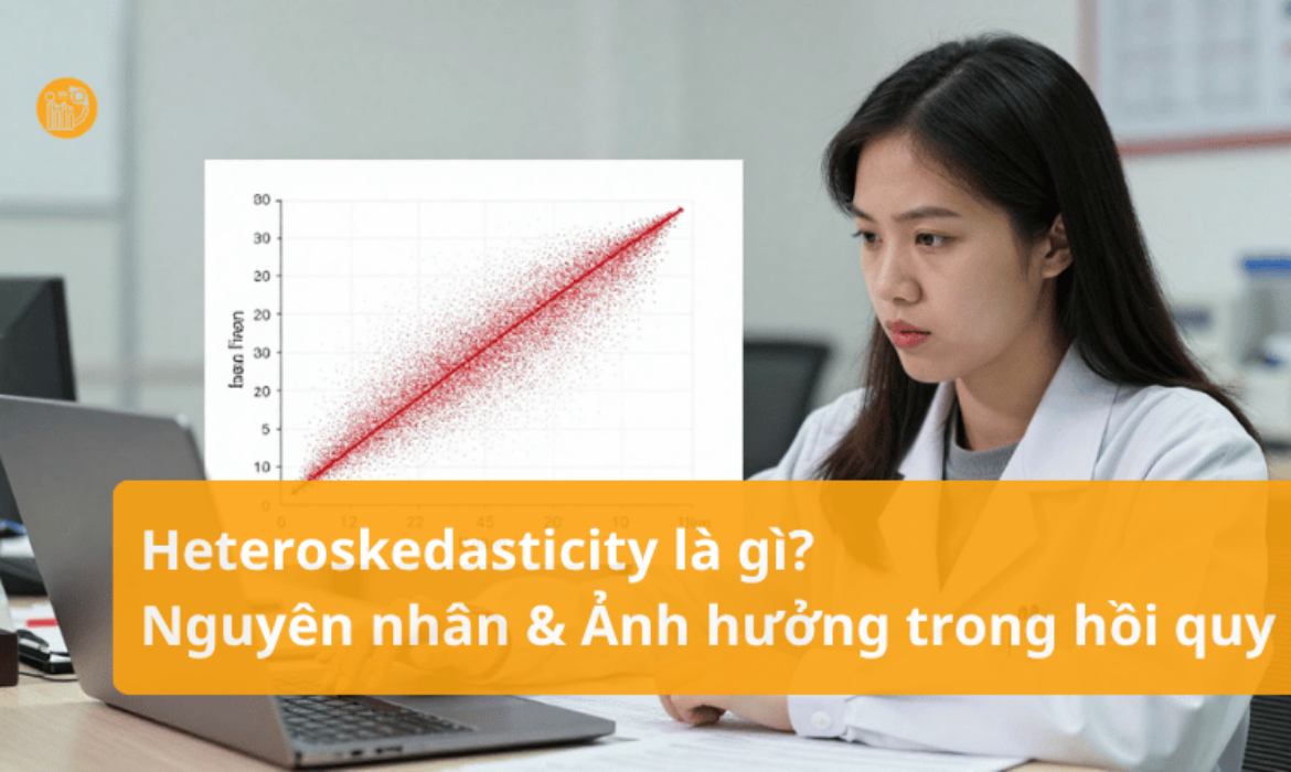 Heteroskedasticity-la-gi