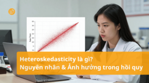 Heteroskedasticity-la-gi