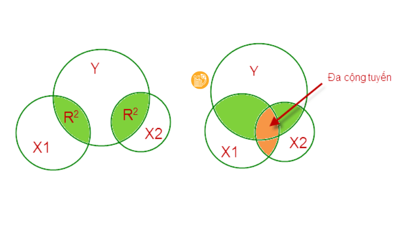 Multicollinearity-trong-mo-hinh-hoi-quy-la-gi