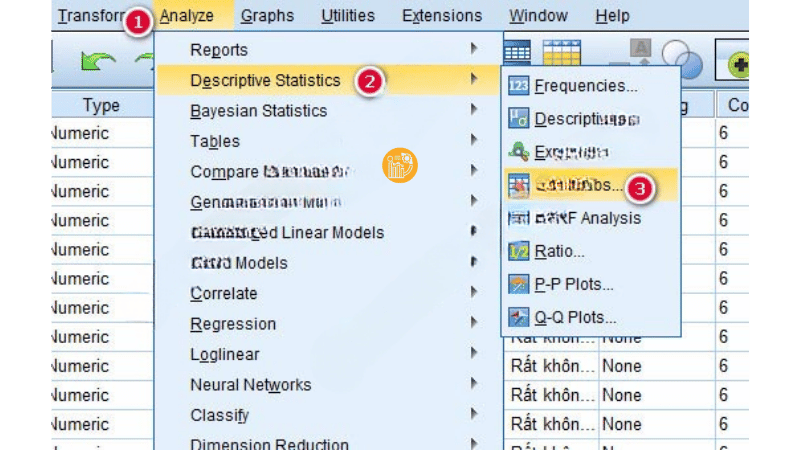 chon-Descriptive-Statistics-sau-do-chon-Crosstabs