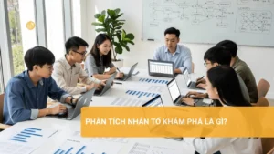Phân Tích Nhân Tố Khám Phá Là Gì? Phân tích nhân tố khám phá, ứng dụng trong SPSS và EFA, hiểu rõ tầm quan trọng