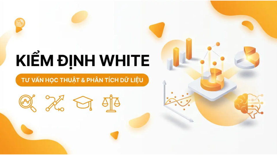 Kiểm định White trong phân tích dữ liệu thống kê để xác định biến thể