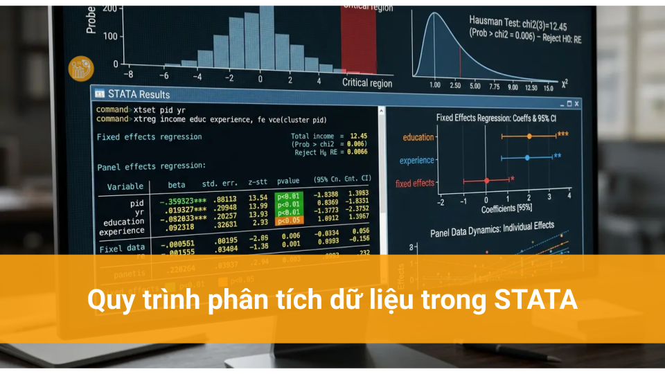 Dữ liệu bảng là gì? Khái niệm và ứng dụng Quy trình phân tích dữ liệu trong STATA